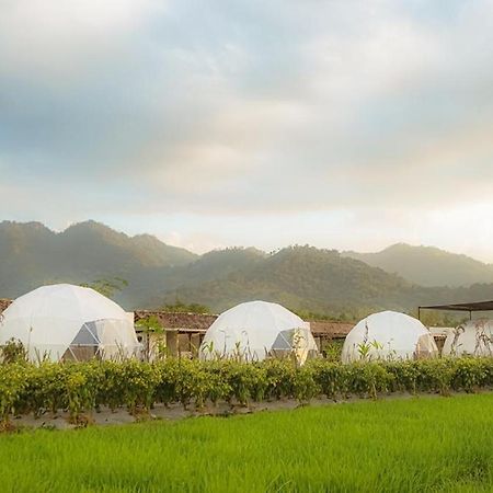 Borobudur Luxury Glamping Magelang Exterior foto
