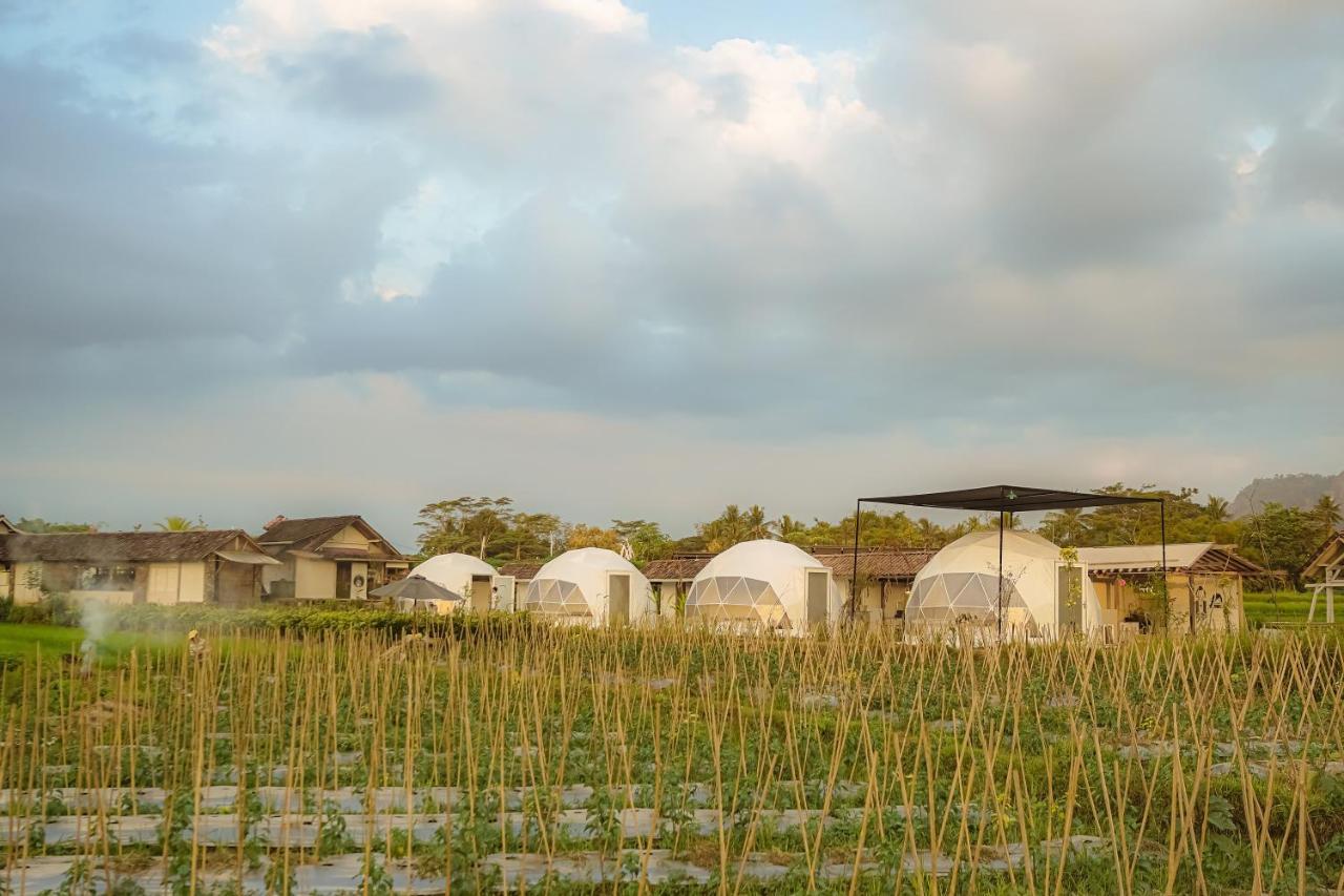 Borobudur Luxury Glamping Magelang Exterior foto